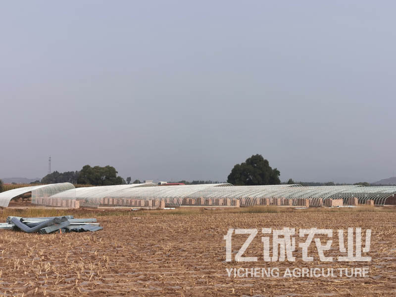 一畝溫室大棚造價(jià)多少錢(qián)？溫室建設(shè)成本