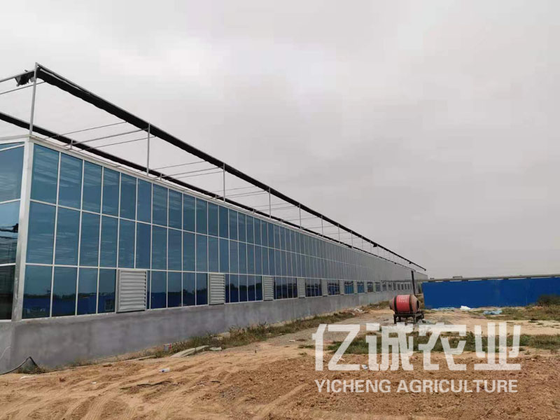 青州連棟智能溫室報價低，廠家云集，建設經(jīng)驗豐富