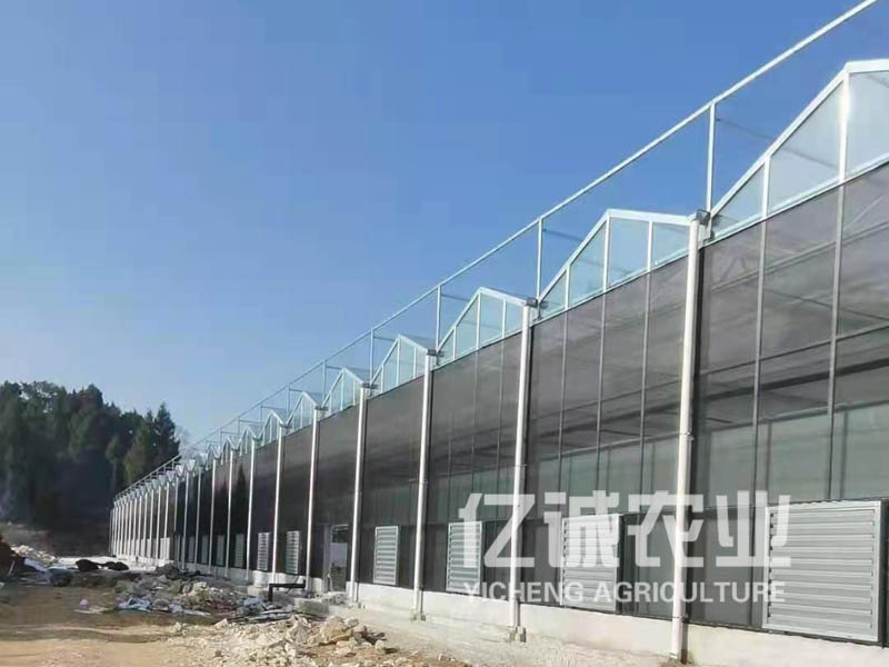 建溫室大棚需要多少錢？連棟溫室工程造價