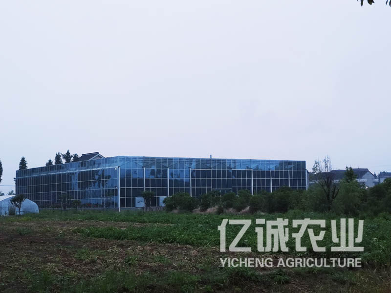 智能溫室大棚遇到大風(fēng)該怎么加固？