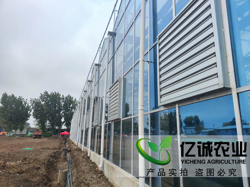 現(xiàn)代化智能溫室大棚建設(shè)應(yīng)用于蔬菜種植產(chǎn)量高，可使收獲期提前