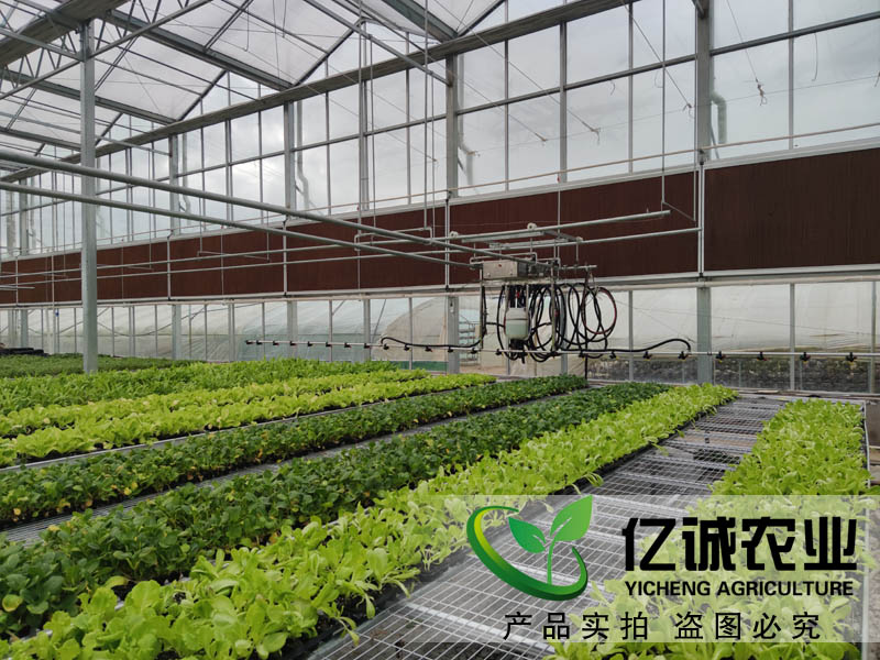 現(xiàn)代化智能溫室大棚如何建造？智能化連棟溫室大棚多少錢一個平方？