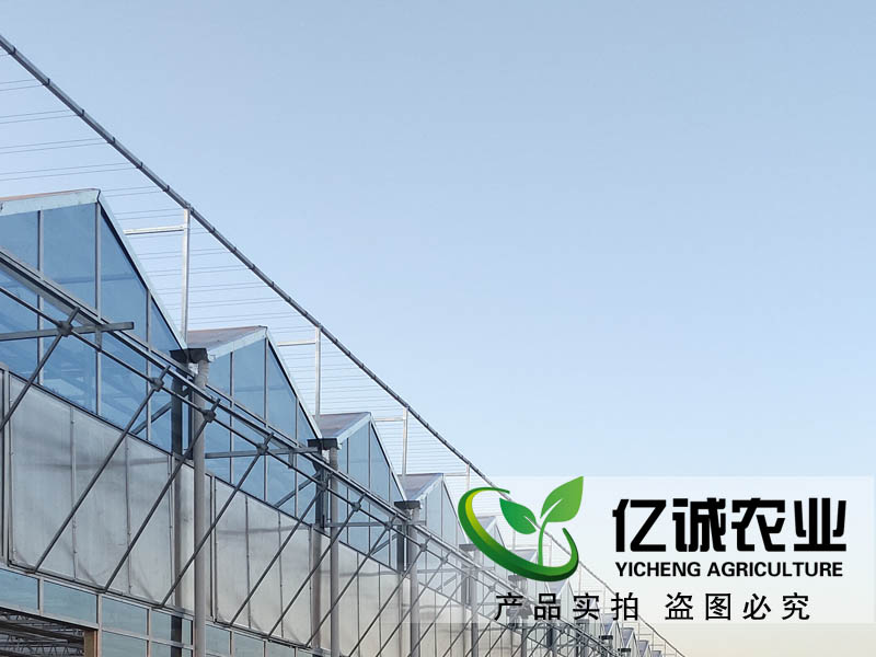 玻璃溫室每平方米報價多少？現(xiàn)代化智能溫室大棚造價？
