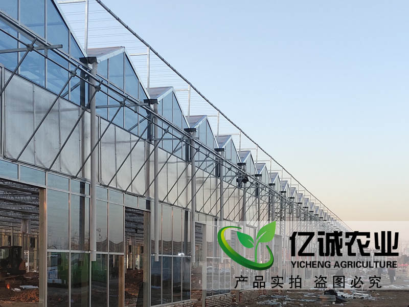 溫室工程建設廠家 溫室工程建設廠家