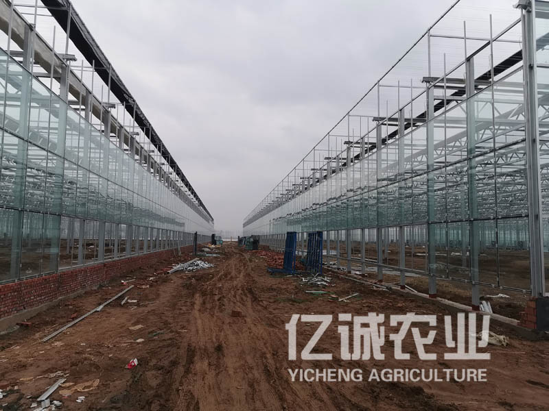 溫室工程建設廠家 溫室工程建設廠家