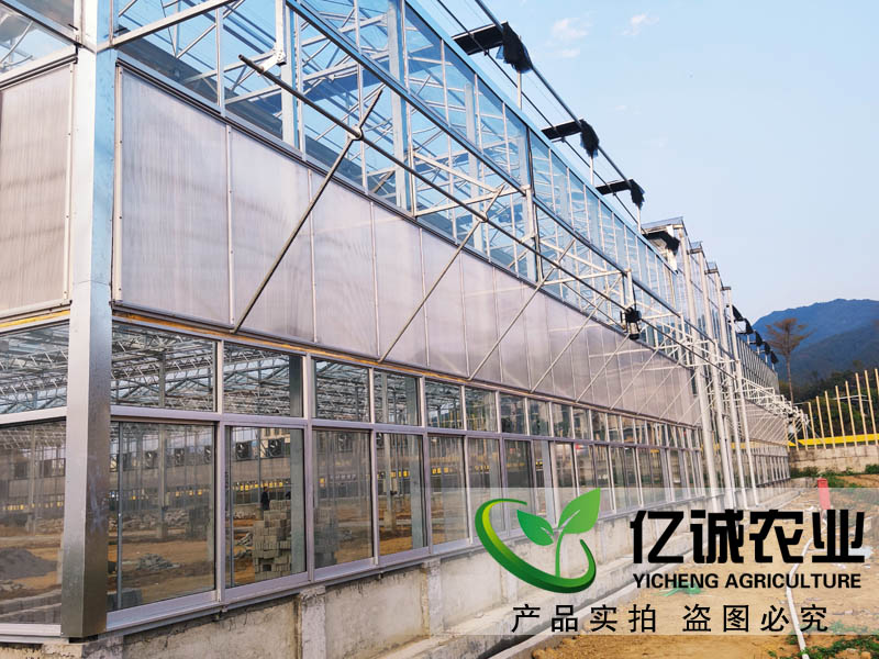 玻璃溫室大棚造價多少錢一畝？玻璃連棟溫室大棚價格高不高？