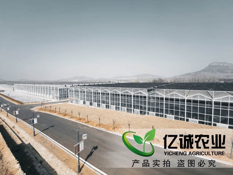 連棟溫室大棚水槽內(nèi)為什么會(huì)積水？億誠教您這樣做