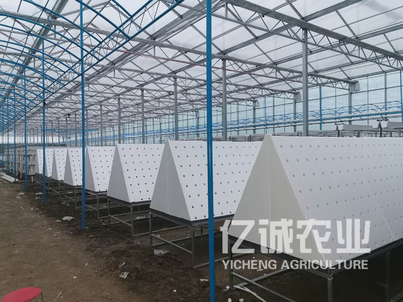 薯類(lèi)作物的溫室大棚怎么建設(shè)？造價(jià)高不高？